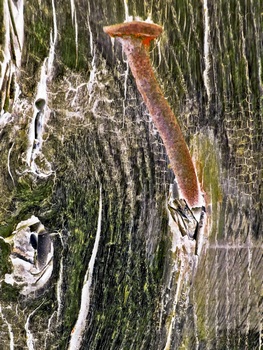 I 042A